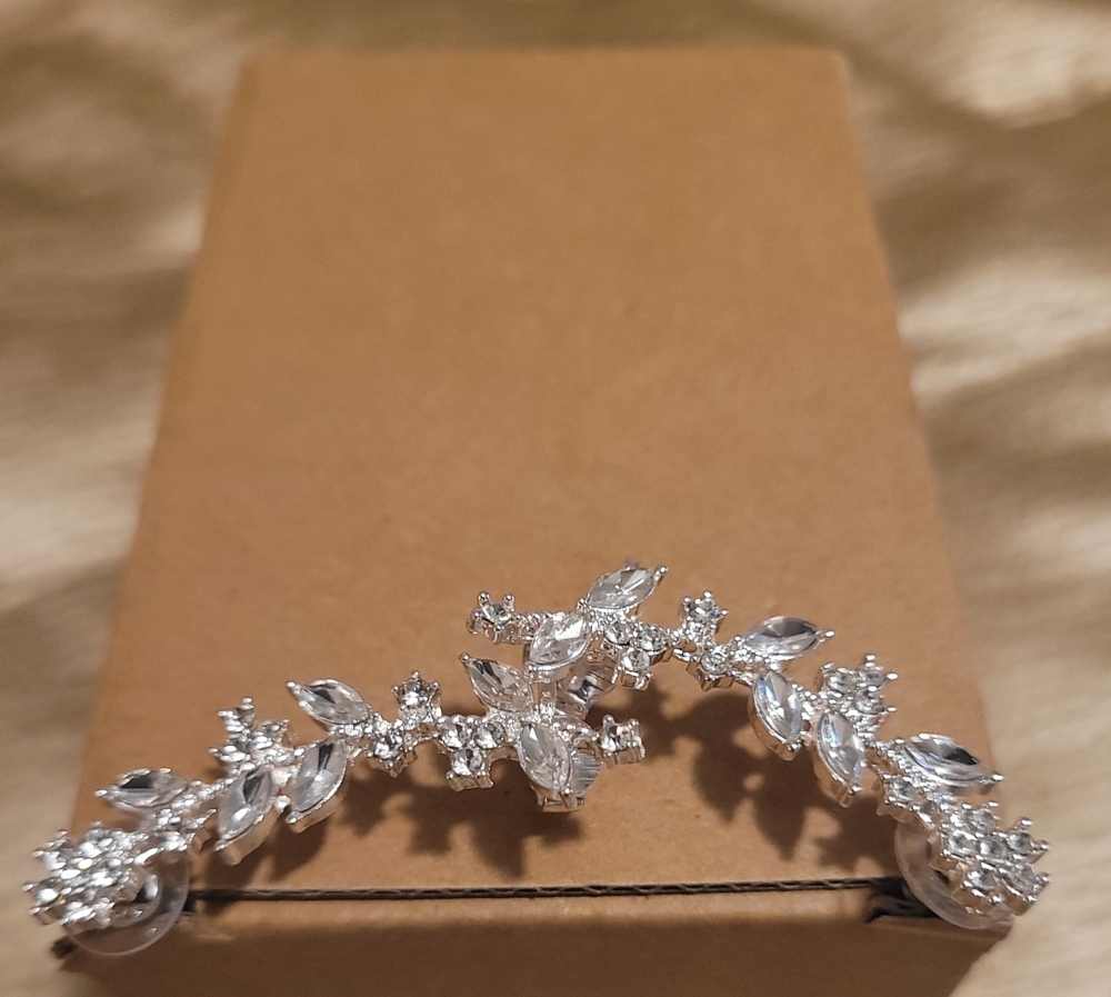 Elegant Earring Ear Cuff